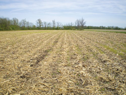 Property photo 5 - 160 Acres in 4 Tracts - Building Potential and Cropland